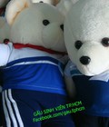 Hình ảnh: Gấu Bông Sinh Viên Tp.Hcm