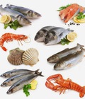 Hình ảnh: Hải sản biển gia đình đánh bắt được từ Thái Bình tươi rói, giàu dinh dưỡng, giá hợp lý