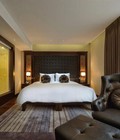Hình ảnh: Đặt phòng khách sạn paradise suite