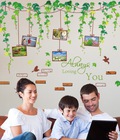 Hình ảnh: Decal Treo ảnh dây leo