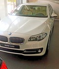 Hình ảnh: BMW 520i 2016