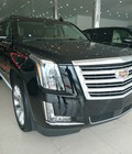 Hình ảnh: Cadillac Escalade Platinum Edition 2016