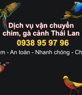 Hình ảnh: Dịch vụ mua hộ chim, gà cảnh từ Thái Lan về Việt Nam