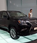 Hình ảnh: Toyota Mỹ Đình Xe Lexus Gx 460