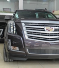 Hình ảnh: Cadillac Escalade ESV Platinum 2016 giao ngay, Thông số kỹ thuật Cadillac Escalade ESV 2016, hình ảnh Cadillac Escalade