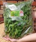 Hình ảnh: Rau Rừng Tây Ninh Giao hàng tận nơi tại TP HCM dù chỉ 1 Kg