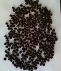 Hình ảnh: Bán cà phê robusta hạt nguyên chất 100% dòng chất lượng cao . Thích hợp cho pha máy
