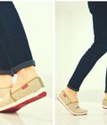 Hình ảnh: Giày vải toms