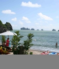 Hình ảnh: Đặt phòng Monkey Island Resort