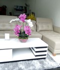 Hình ảnh: Sofa Cao Cấp