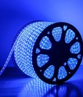 Hình ảnh: Đèn led dây 3014 ánh sáng xanh dương