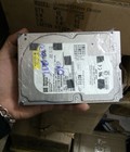 Hình ảnh: Ổ Cứng Western Digital 160Gb, 4200rpm, 2MB Cache, ATA