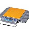 Hình ảnh: Cân xe tải xách tay RW-10S 10 tấn chính hãng CAS - Korea