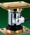 Hình ảnh: Cảm biến tải Loadcell CAS WBK-30T