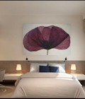 Hình ảnh: Bán căn hộ Bông SAo 2 phòng ngủ, có sổ hồng, dt 68m2, giá 1.1tỷ