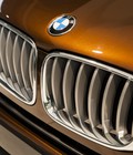 Hình ảnh: BMW X3 Limit Edition 100 years BMW