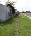 Hình ảnh: Bán lô đất vườn cách đường bình mỹ 200M tại xã bình mỹ cách ủy ban 1km