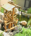 Hình ảnh: tiểu cảnh