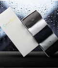 Hình ảnh: Tất nam Calvin Klein cao cấp