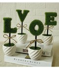 Hình ảnh: Bộ chậu cây love - VN400