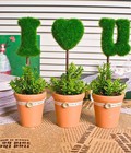 Hình ảnh: Bộ cây I Love U chậu rời - BC419