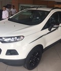 Hình ảnh: Ford Ecosport Back Edition Giá tốt nhất. Nơi bán xe Ecosport Black giá rẻ nhát