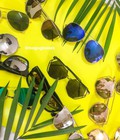 Hình ảnh: HOT Kính mắt thời trang kính TRÁNG GƯƠNG, Rayban mới nhất