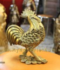 Hình ảnh: Gà đông phong thủy, gà lông tiền, con vật phong thủy