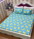 Hình ảnh: Bộ ga gối cotton xoa nhung