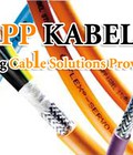 Hình ảnh: Lapp Kabel UNITRONIC ST 1x2x16AWG P/N: 3800717 3800718