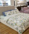 Hình ảnh: Giường ngủ hiện đại- GN011