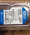 Hình ảnh: Hdd Westen 250G BH 24 Tháng chính hãng --giá 450K 