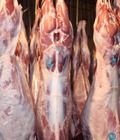 Hình ảnh: Thịt dê Úc Thịt dê Úc được nhập khẩu và phân phối trực tiếp bởi công ty Thiên Bút. Dê úc nguyên con được giết mổ trên d