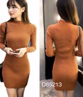 Hình ảnh: Chuyên sỉ, lẻ Đầm lên cổ lọ