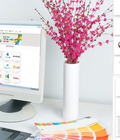 Hình ảnh: Dịch vụ Thiết kế Logo Thương Hiệu