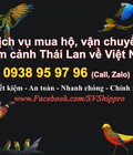 Hình ảnh: Mua hộ và vận chuyển chim cảnh Thái Lan về Việt Nam