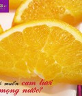 Hình ảnh: Cam Quýt Úc 2016 Klever Fruits