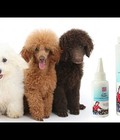 Hình ảnh: Cung cấp các loại sản phẩm thức ăn cho chó và sữa tắm cho chó tại bảo duy pets