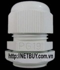 Hình ảnh: Ốc xiết cáp PG16, Ốc cố định cáp PG16, Ốc siết cáp PG 16