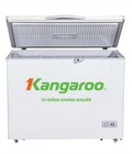 Hình ảnh: TỦ ĐÔNG KHÁNG KHUẨN KANGAROO KG292C1 236L giá rẻ