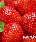 Hình ảnh: Dâu tây Hàn Quốc chào đón Giáng sinh 2016 Klever Fruits