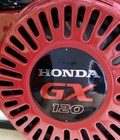 Hình ảnh: Động cơ Honda giá rẻ