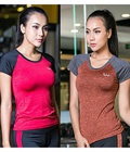 Hình ảnh: Áo tập Gym, Aerobic, Yoga, Fitness, thể thao cao cấp