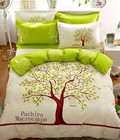 Hình ảnh: Bộ Cotton poly Thái 3D