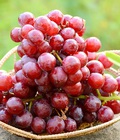 Hình ảnh: Nho đỏ Mỹ có hạt