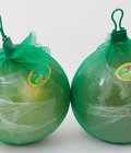 Hình ảnh: Bưởi da xanh