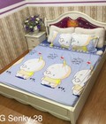 Hình ảnh: Set ga gối cotton poly