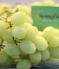 Hình ảnh: Nho xanh Nam Phi