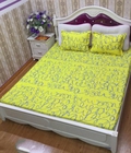 Hình ảnh: Set ga gối cotton poly