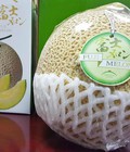 Hình ảnh: Dưa lưới Nhật Fuji Melon